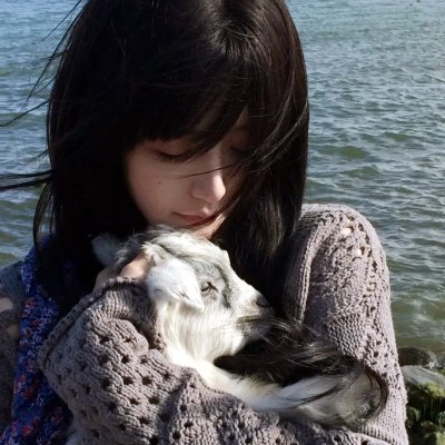 最强橄榄球：死或赢