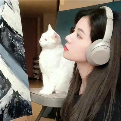 异星入侵：凤凰出山